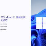 Windows 11 优化